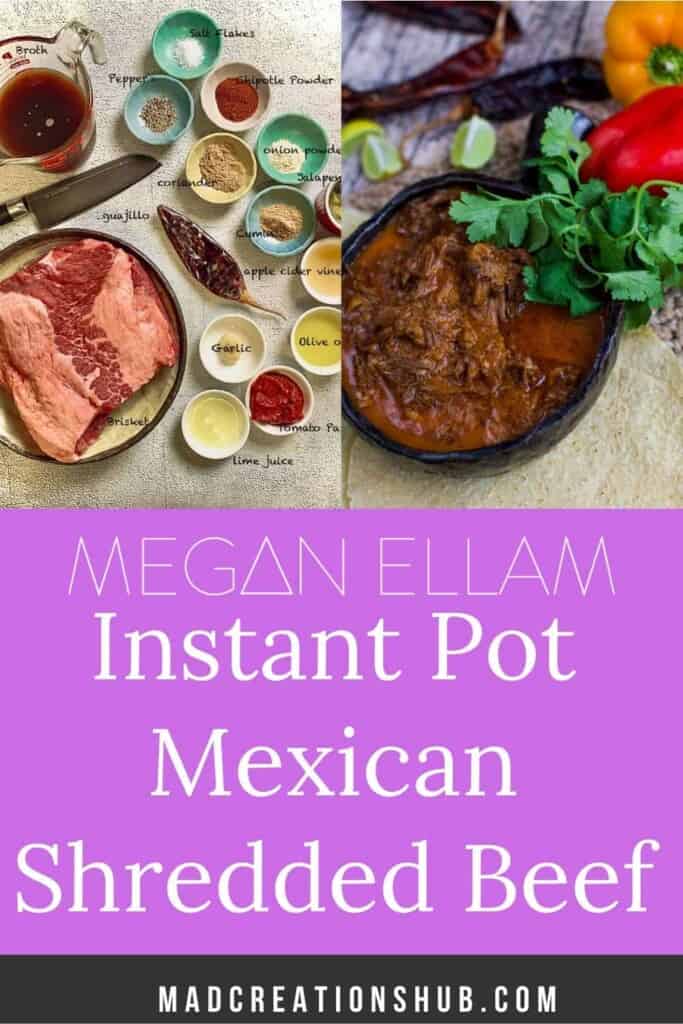 Mexican beef ingredients and a bowl of slow cooked beef