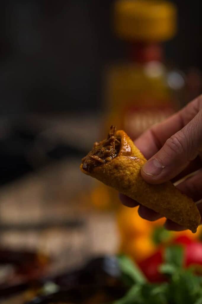 tortilla cone filled with meat