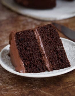 A perfect slice of two layer Keto Chocolate Cake.