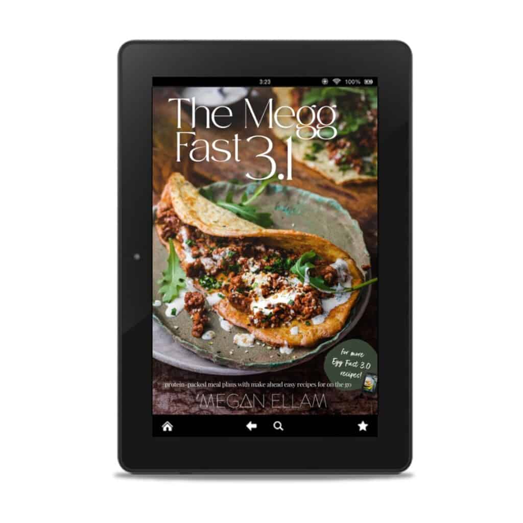 The Megg Fast 3.1 eBook cover on a black ipad.